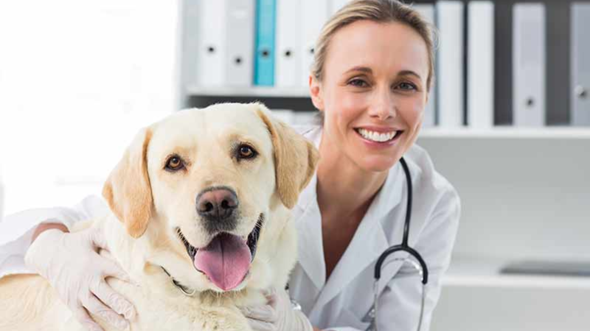 Good veterinary doctor near hot sale me